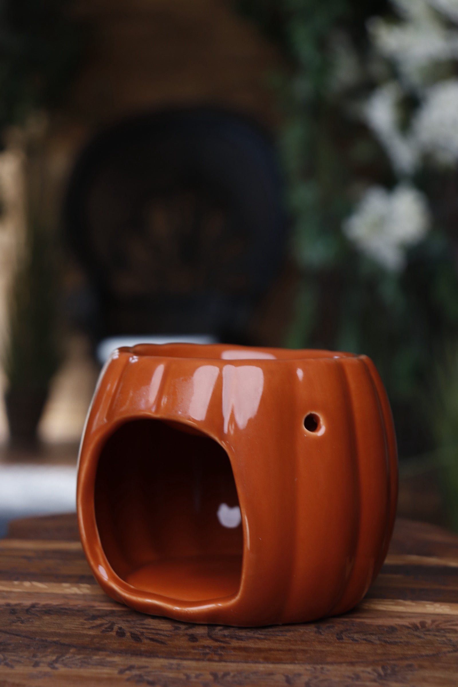 Pumpkin diffuser