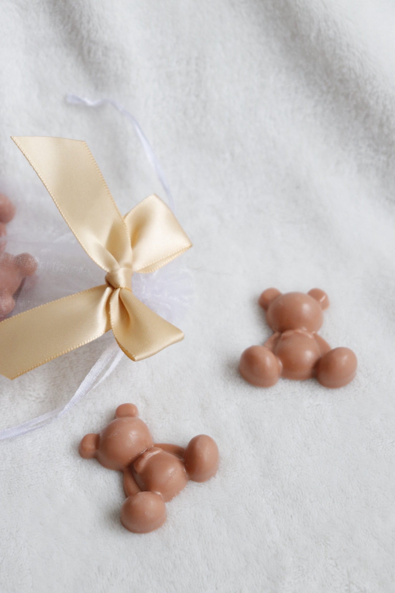 Little Teddy wax melt